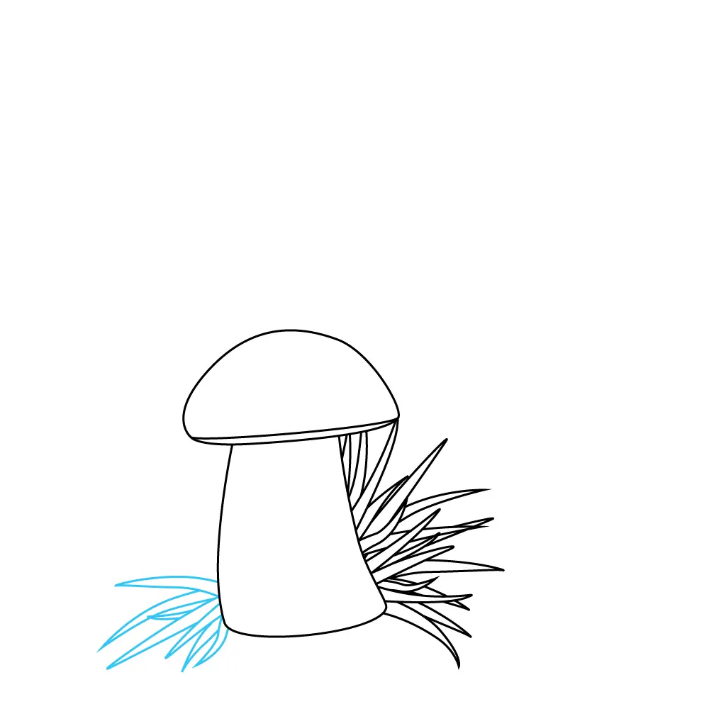 How to Draw Mushrooms Step by Step Step  5