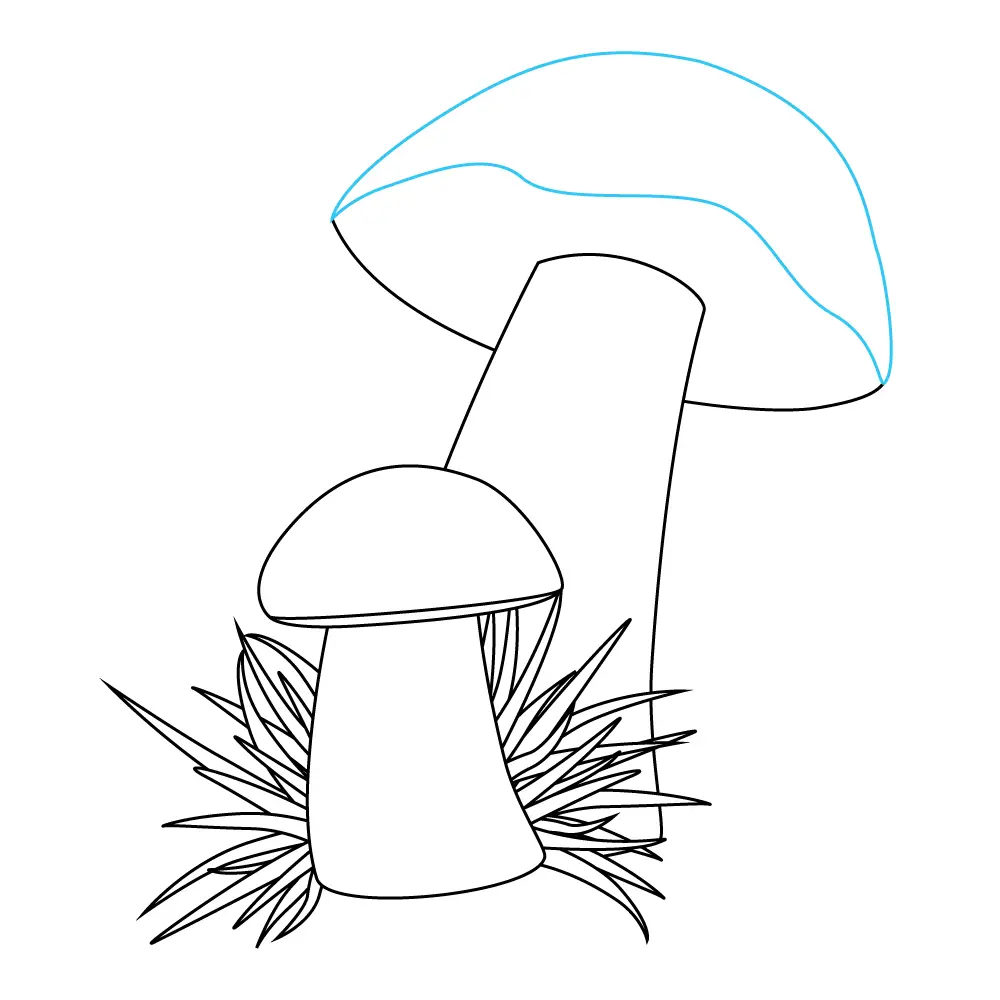 How to Draw Mushrooms Step by Step Step  9