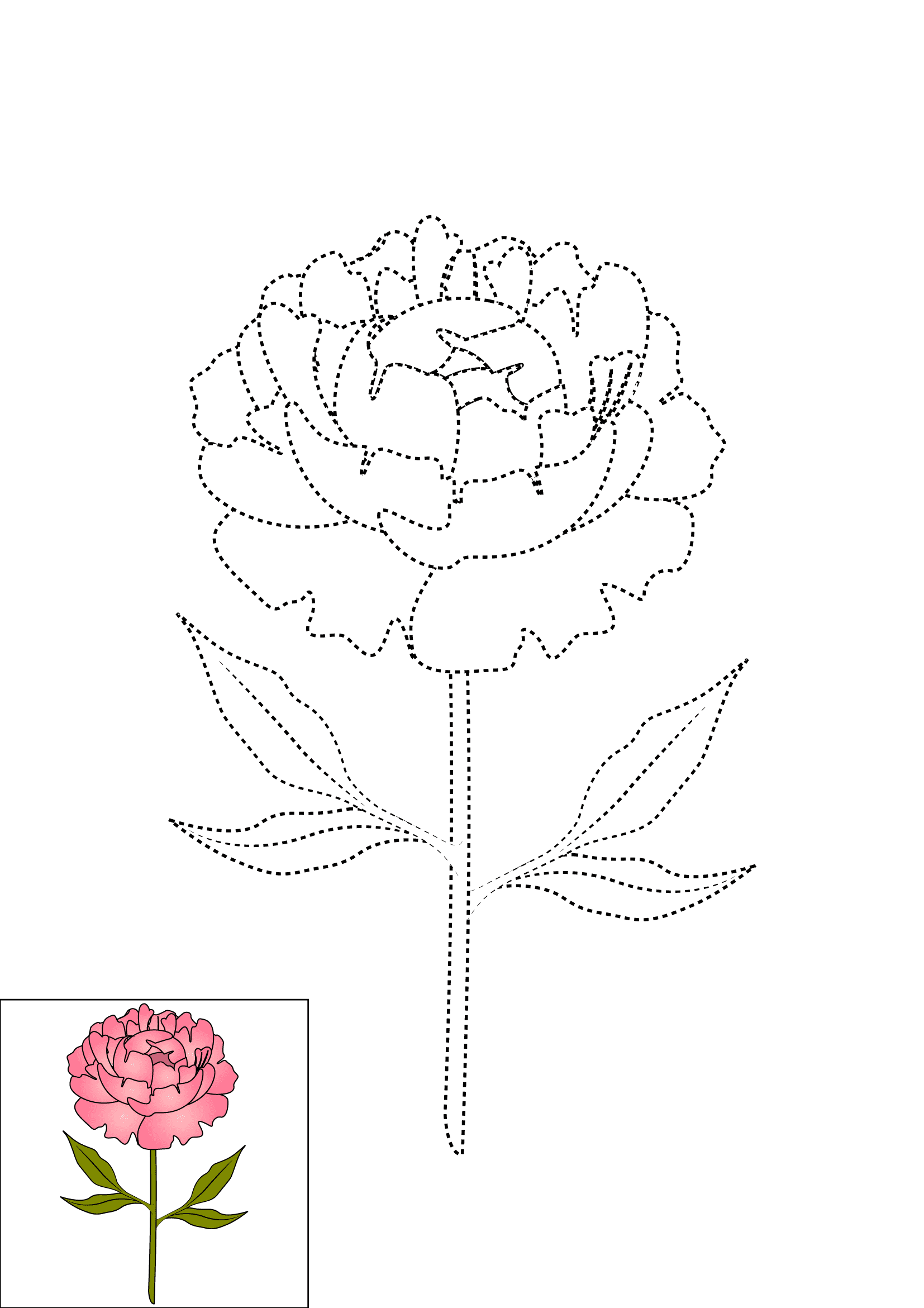 How to Draw Peonies Step by Step Printable Dotted