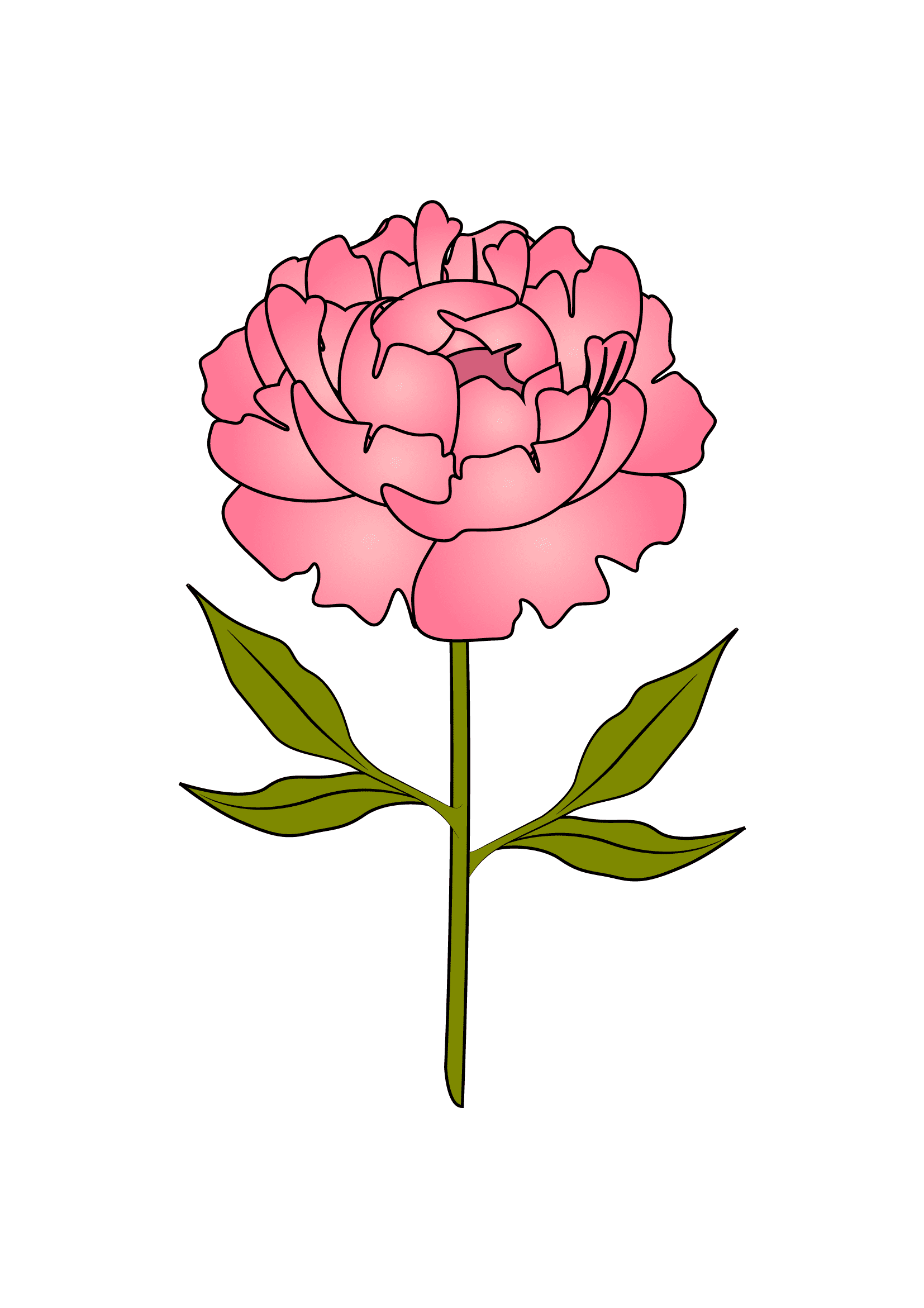 How to Draw Peonies Step by Step Printable