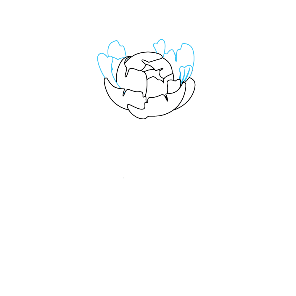 How to Draw Peonies Step by Step Step  4
