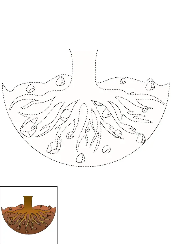 How to Draw Tree Roots Step by Step Printable Dotted