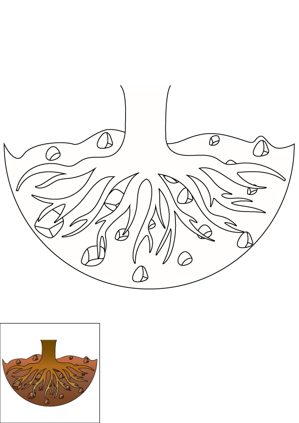 How to Draw Tree Roots Step by Step Printable Color
