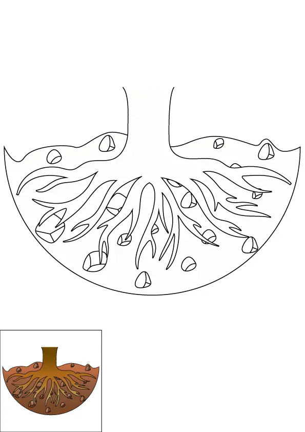 How to Draw Tree Roots Step by Step Printable Color