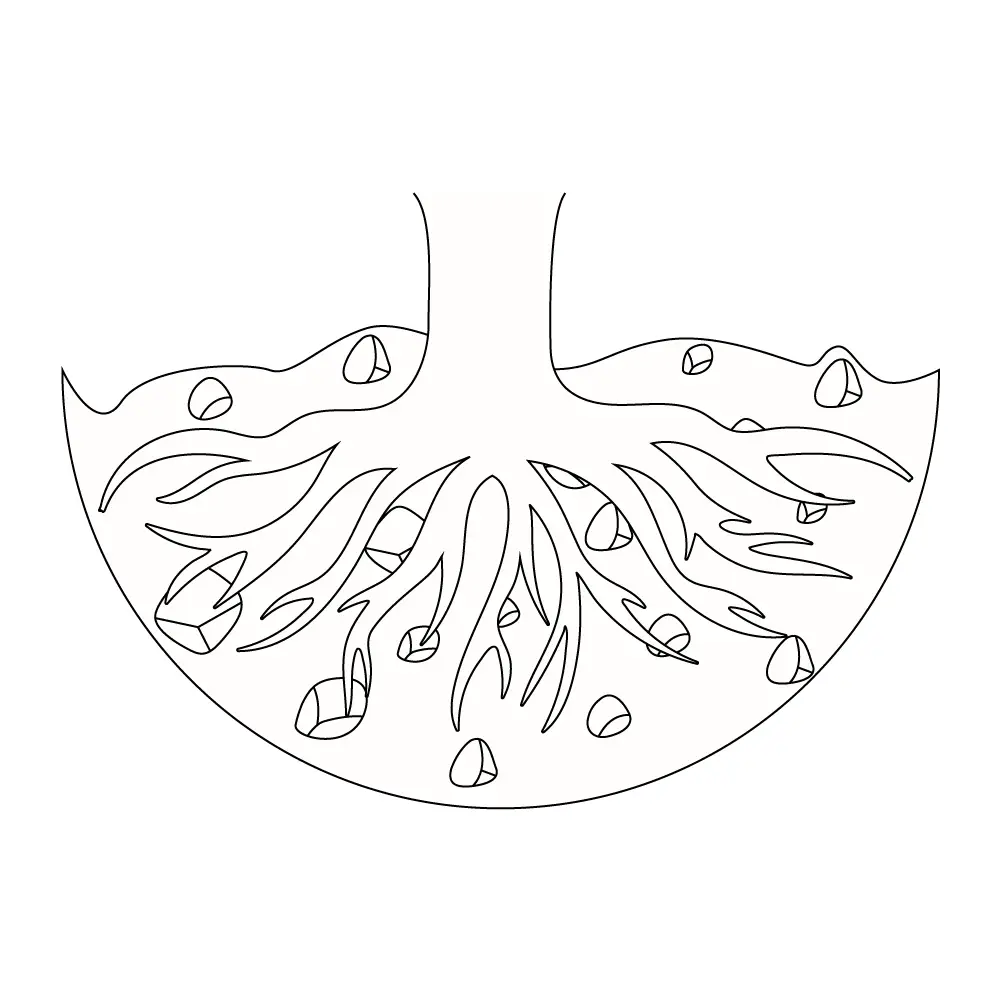 How to Draw Tree Roots Step by Step Step  11