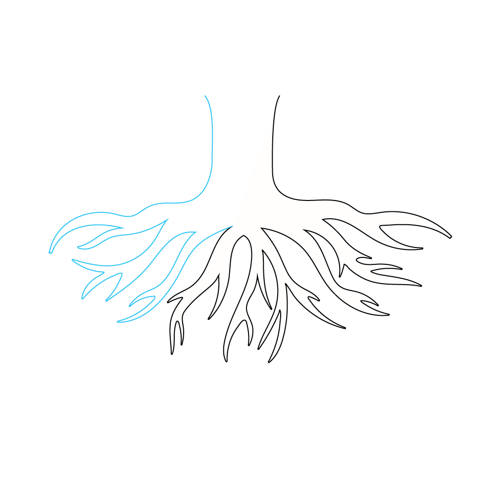 How to Draw Tree Roots Step by Step Step  3