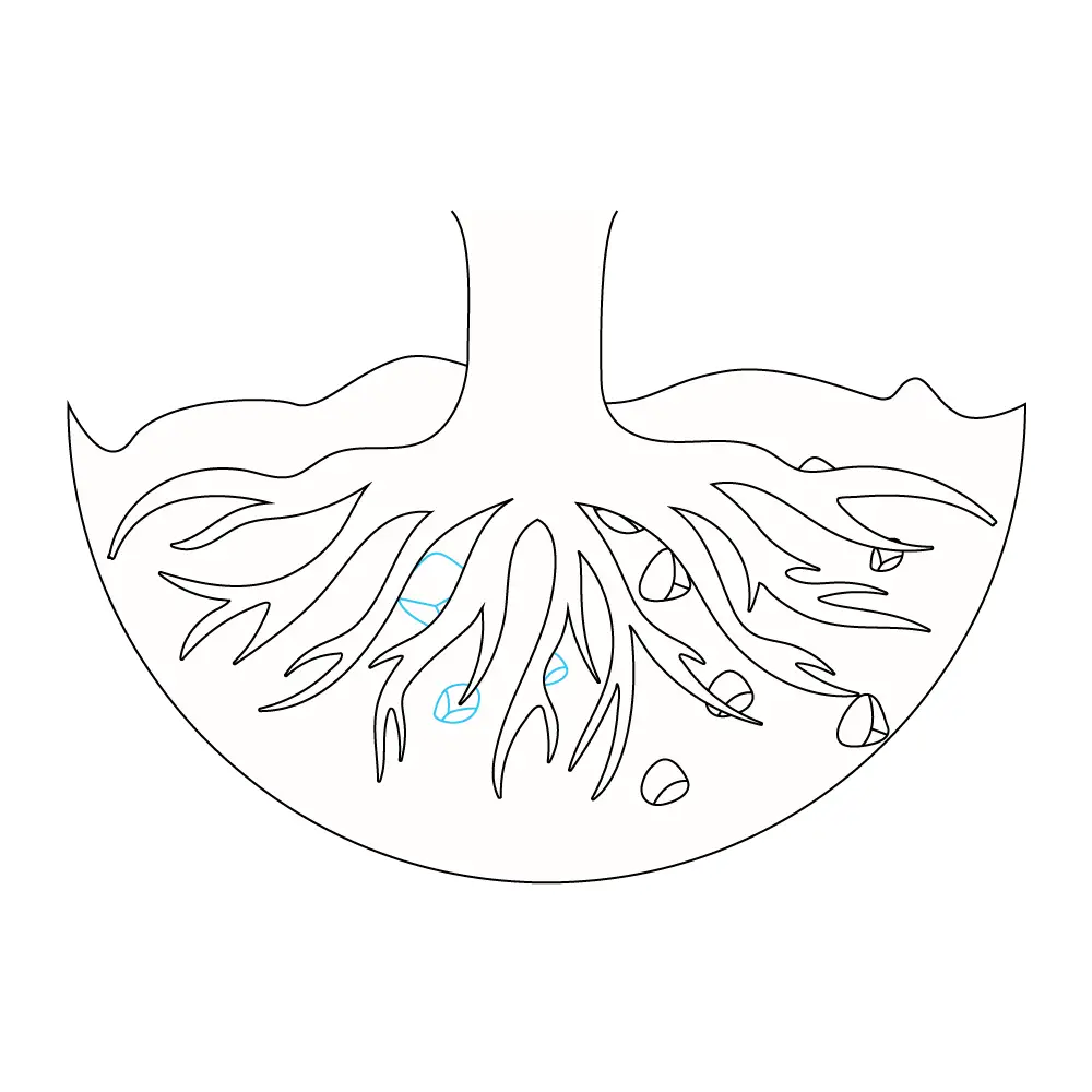 How to Draw Tree Roots Step by Step Step  8