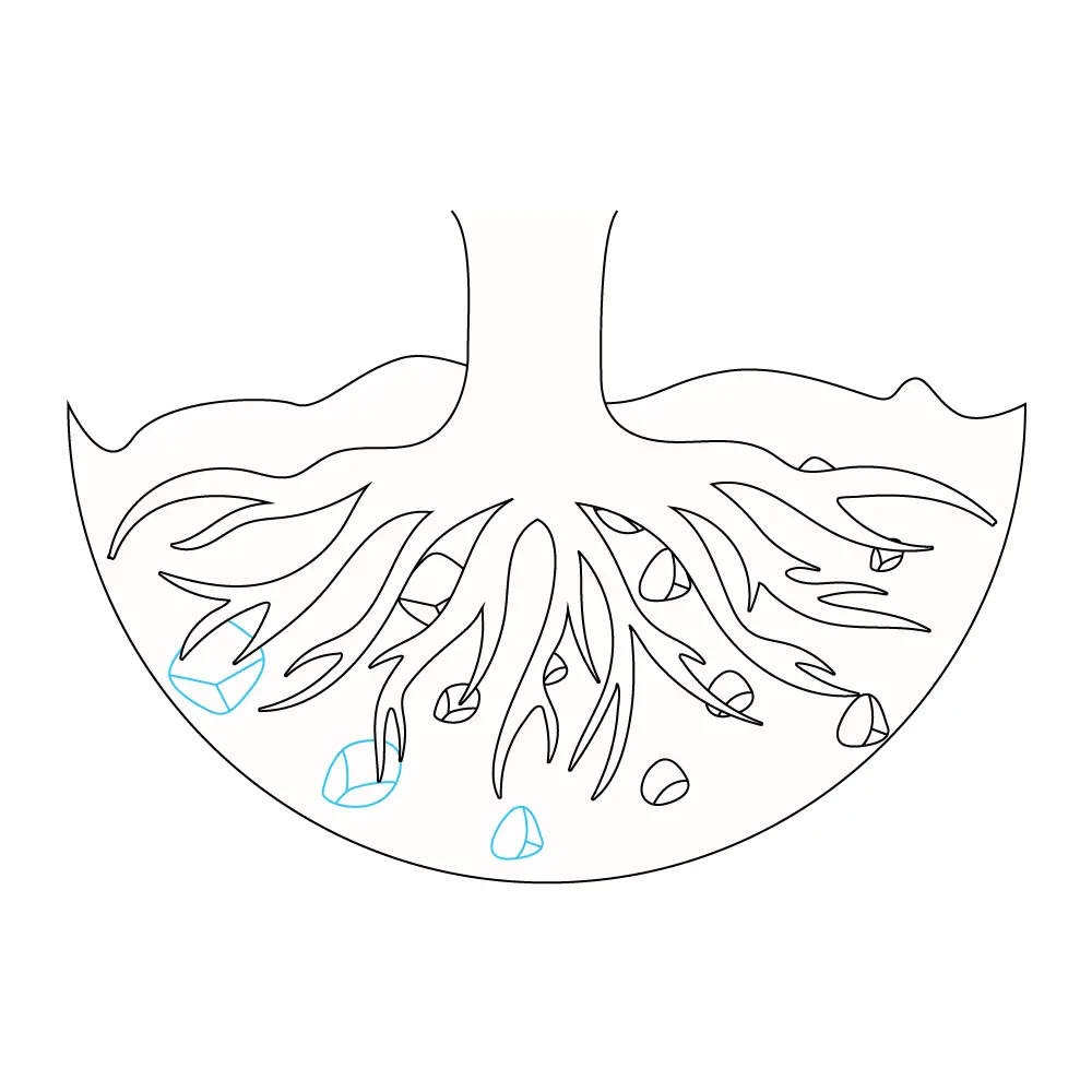 How to Draw Tree Roots Step by Step Step  9