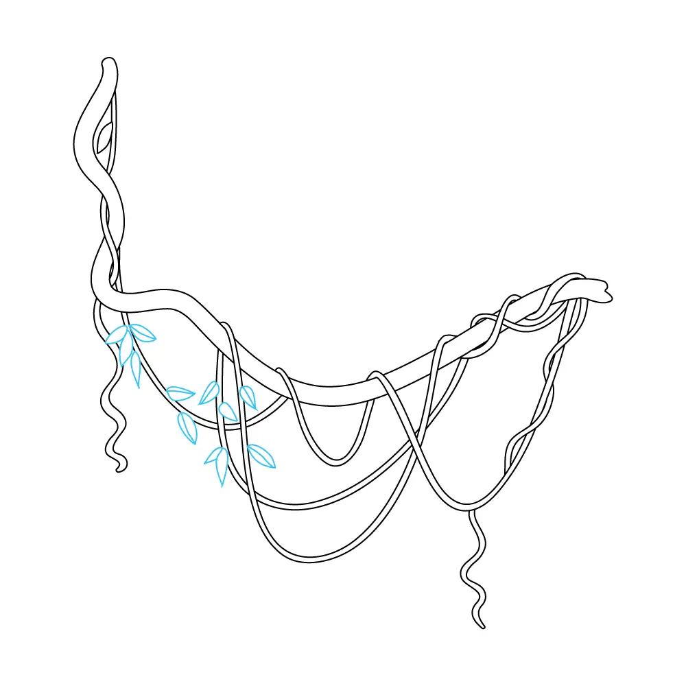 How to Draw Vines Step by Step Step  7