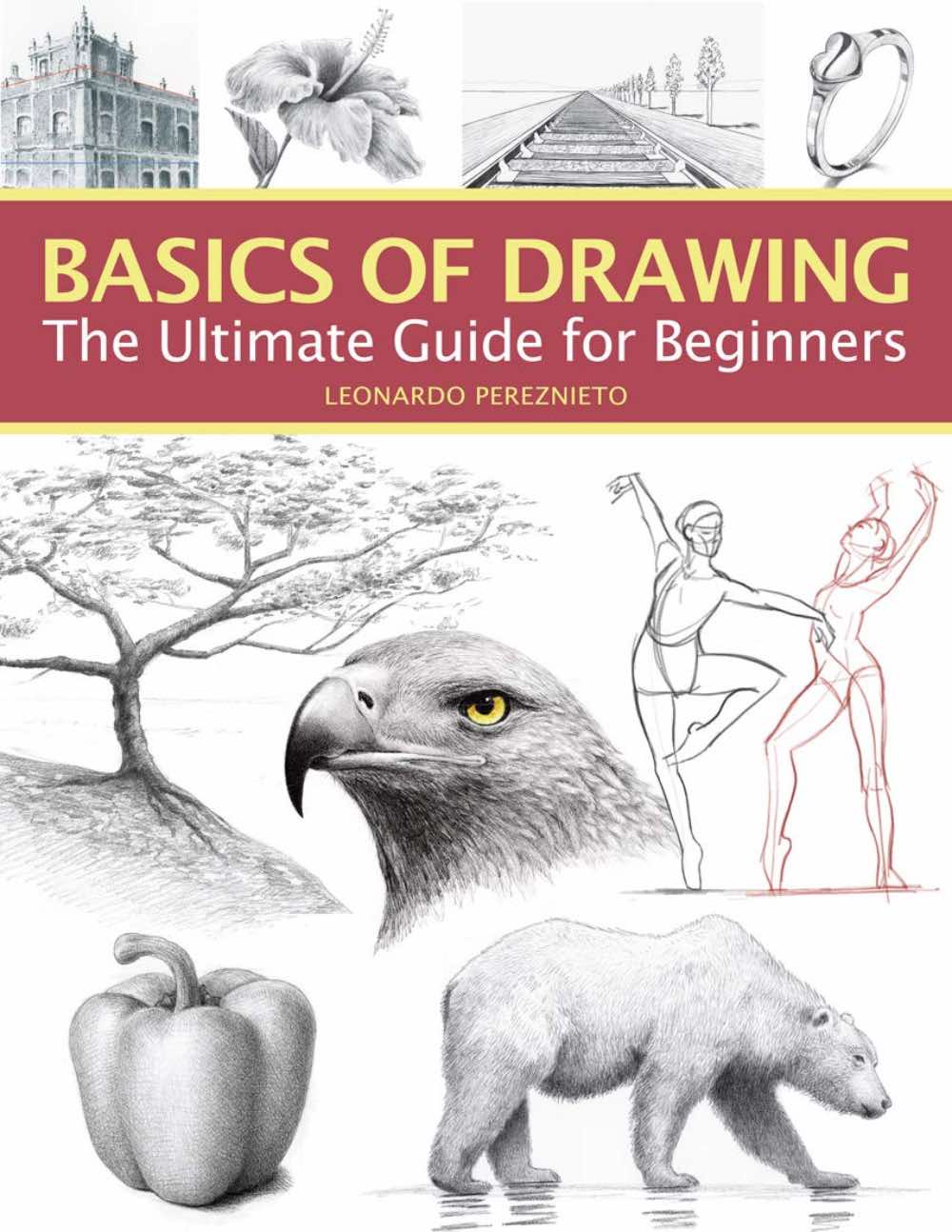 Basics of Drawing: The Ultimate Guide for Beginners