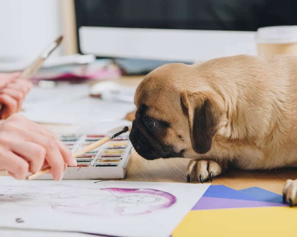 A dog with watercolor paints nearby