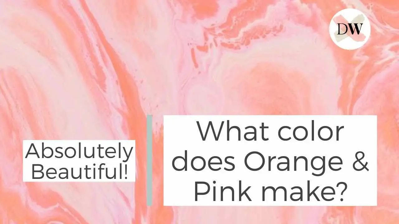What color does Orange & Pink make? Absolutely Beautiful! Thumbnail