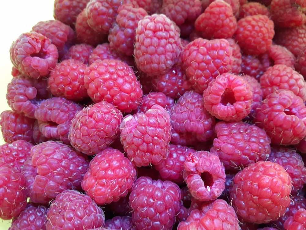 Many raspberries showing magenta-red tints