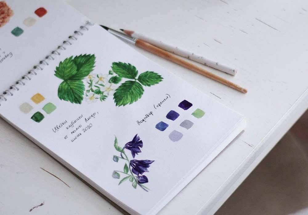 A notepad with watercolor swatches and botanical studies