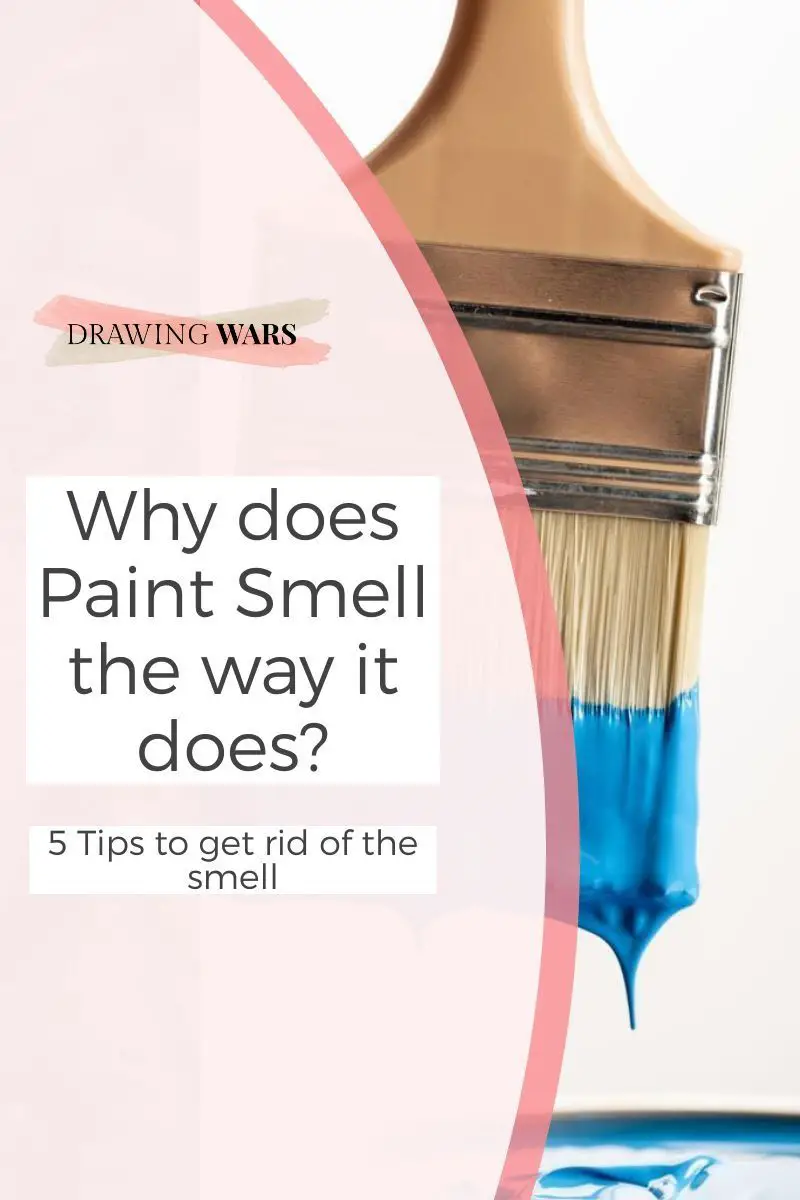 Why does Paint Smell the way it does? 5 Tips Thumbnail