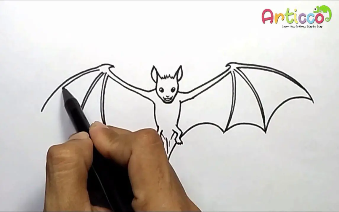 Easy Way to Draw a Realistic Bat