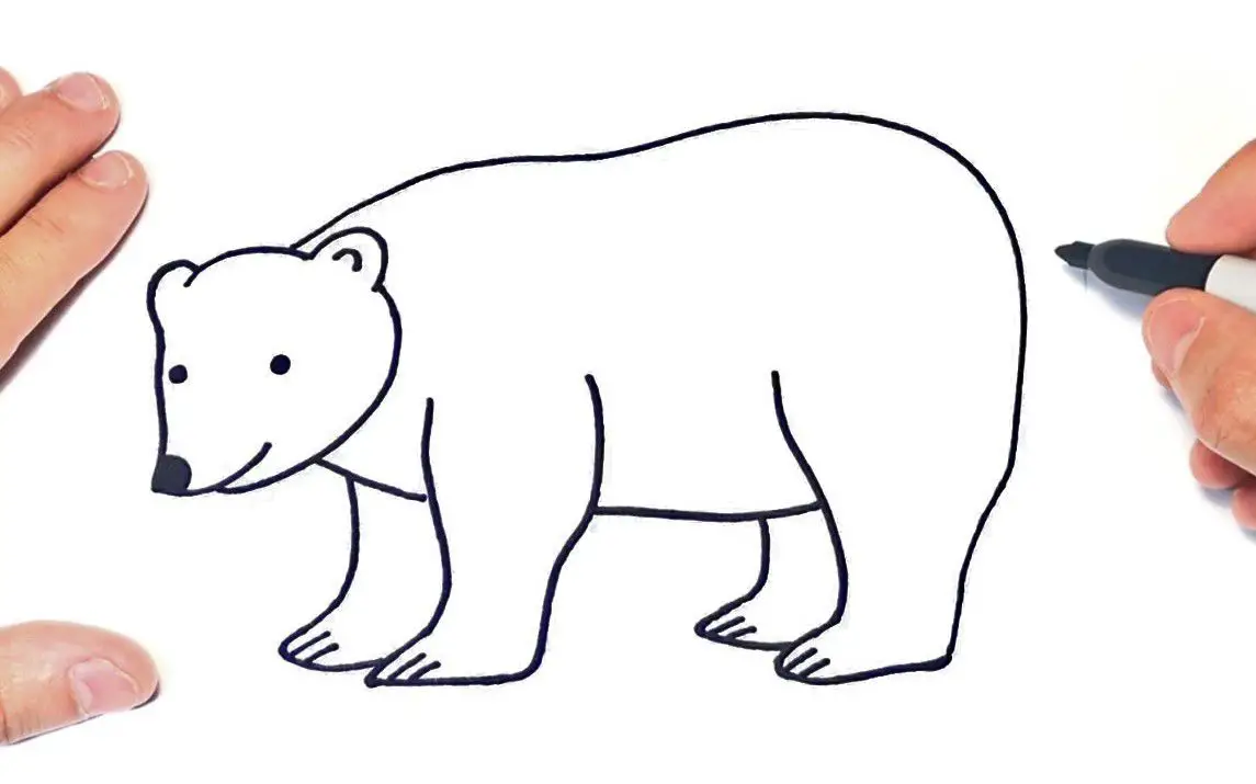 Simple Polar Bear Line Art