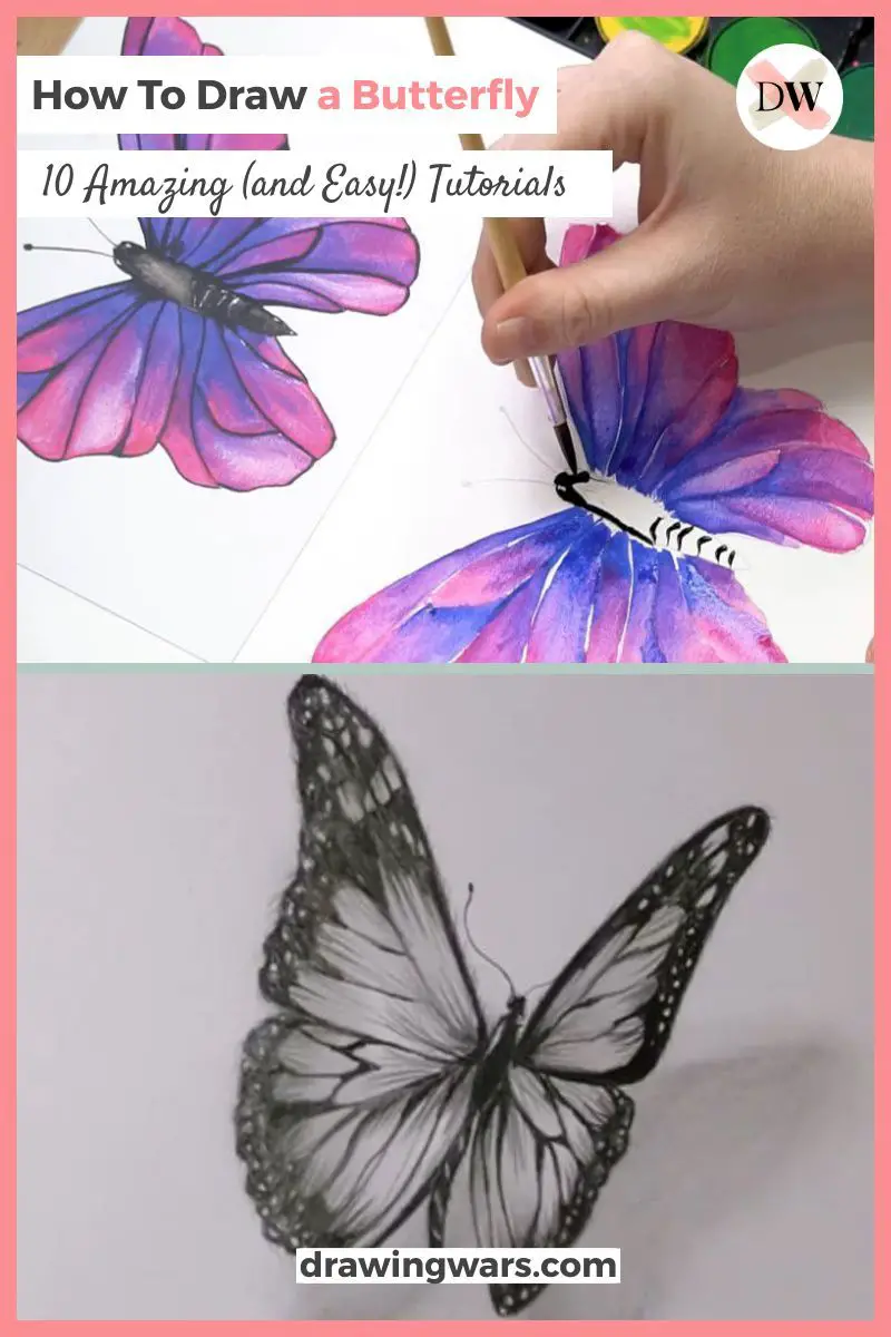 How To Draw A Butterfly: 10 Amazing and Easy Tutorials! Thumbnail