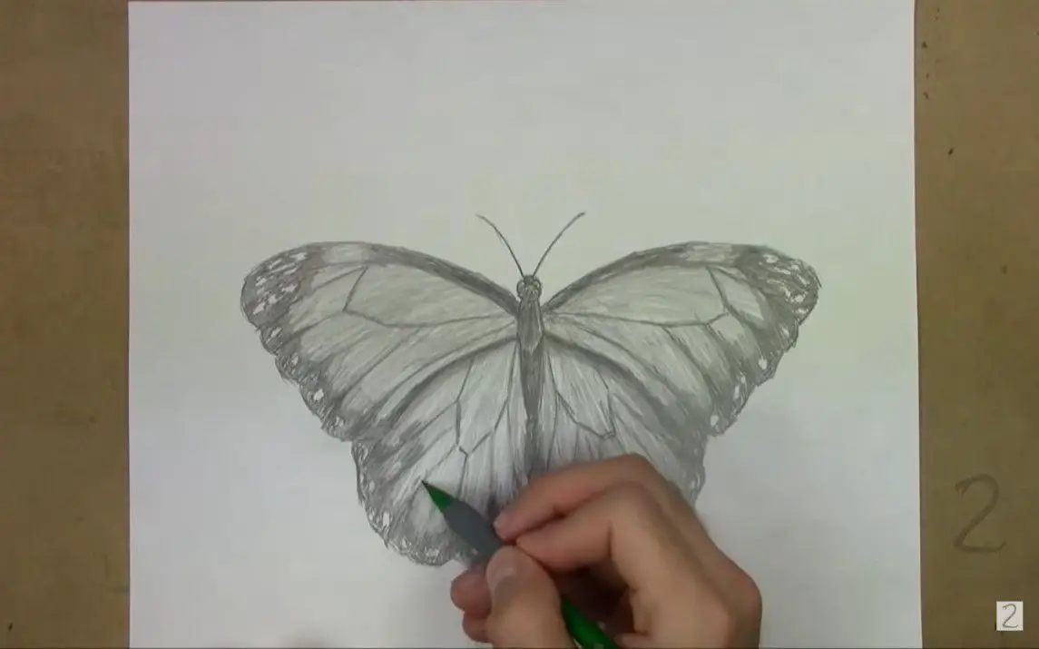 Simple Pencil Sketch of a Butterfly