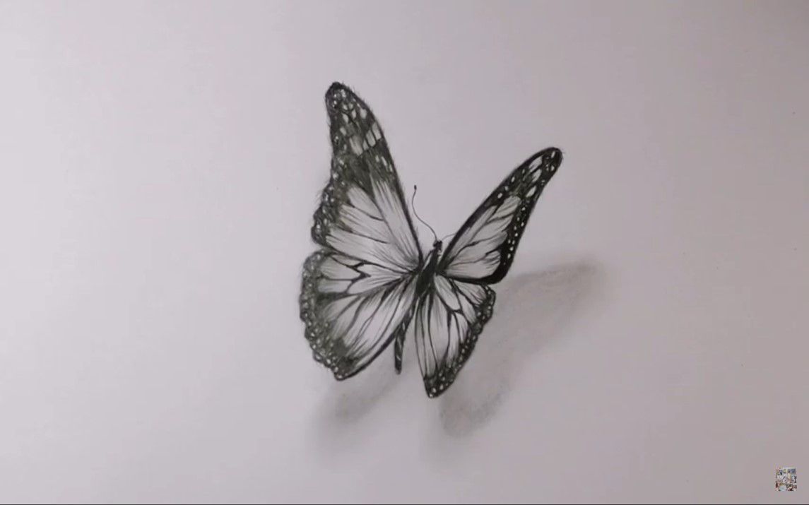 A Stunning and Realistic 3D drawing of a Butterfly