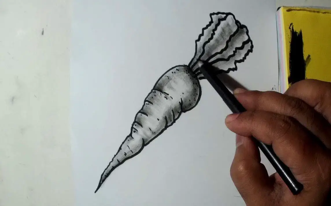Quick and Easy Carrot Sketch