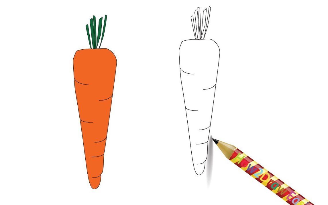 Step by Step Carrot Drawing Tutorial