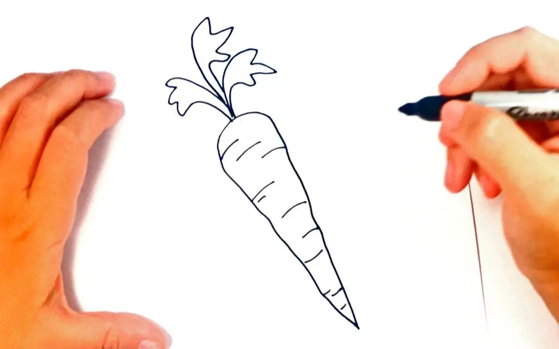 Easy Carrot Drawing Tutorial