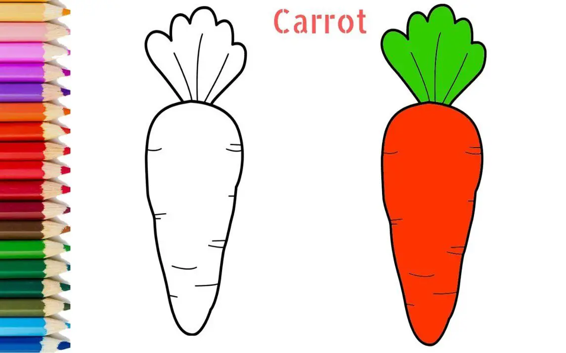 Easy Carrot Drawing for Children