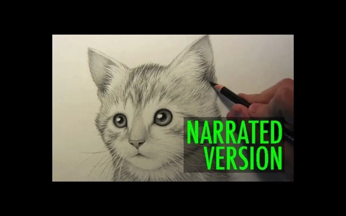 Realistic Kitten Drawing