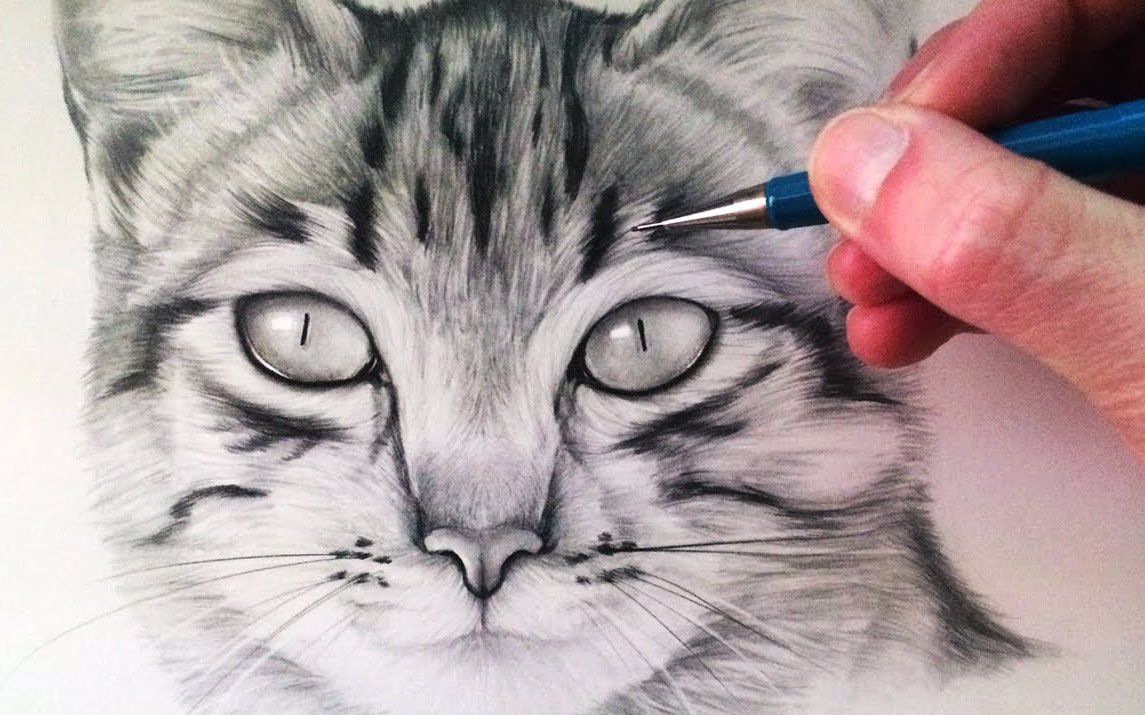 Lifelike Sketch of a Cat