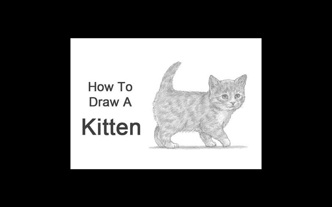 Simple and Realistic Cat Drawing Tutorial