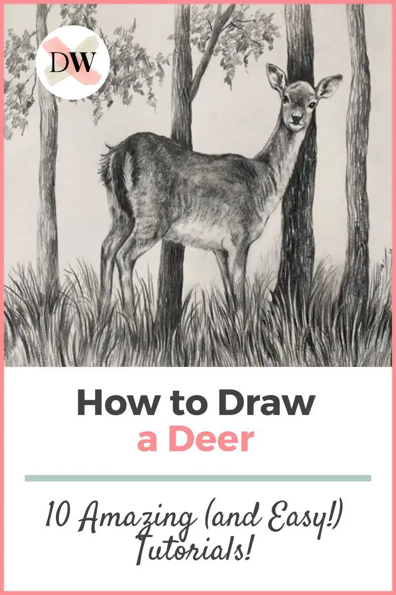 How To Draw A Deer: 10 Amazing and Easy Tutorials! Thumbnail
