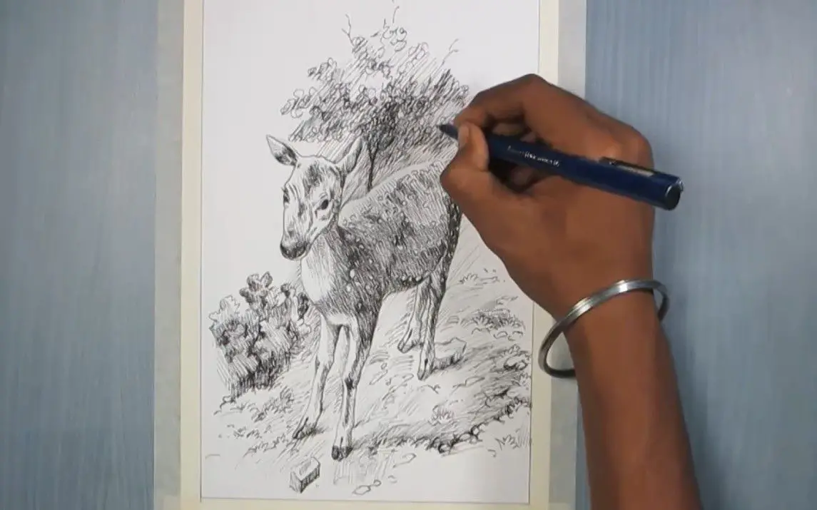 Rough Sketch of a Deer