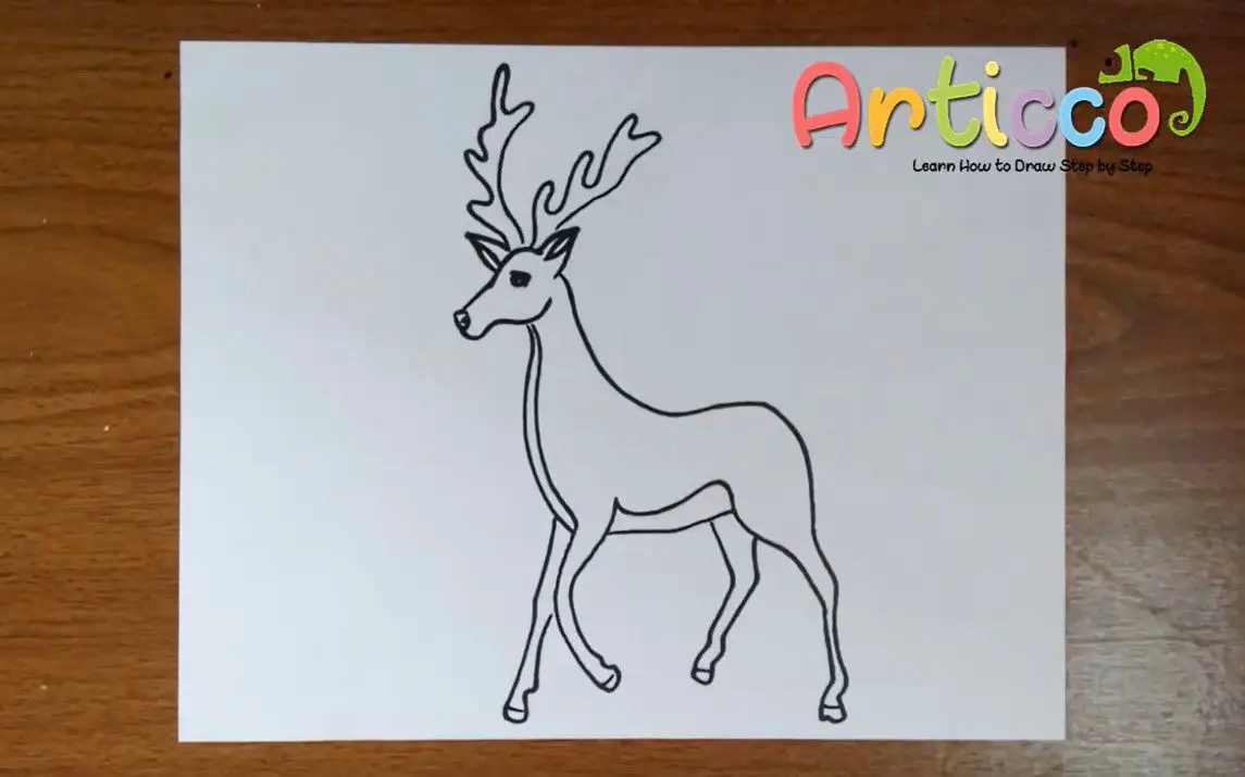 Easy and Quick Deer Drawing