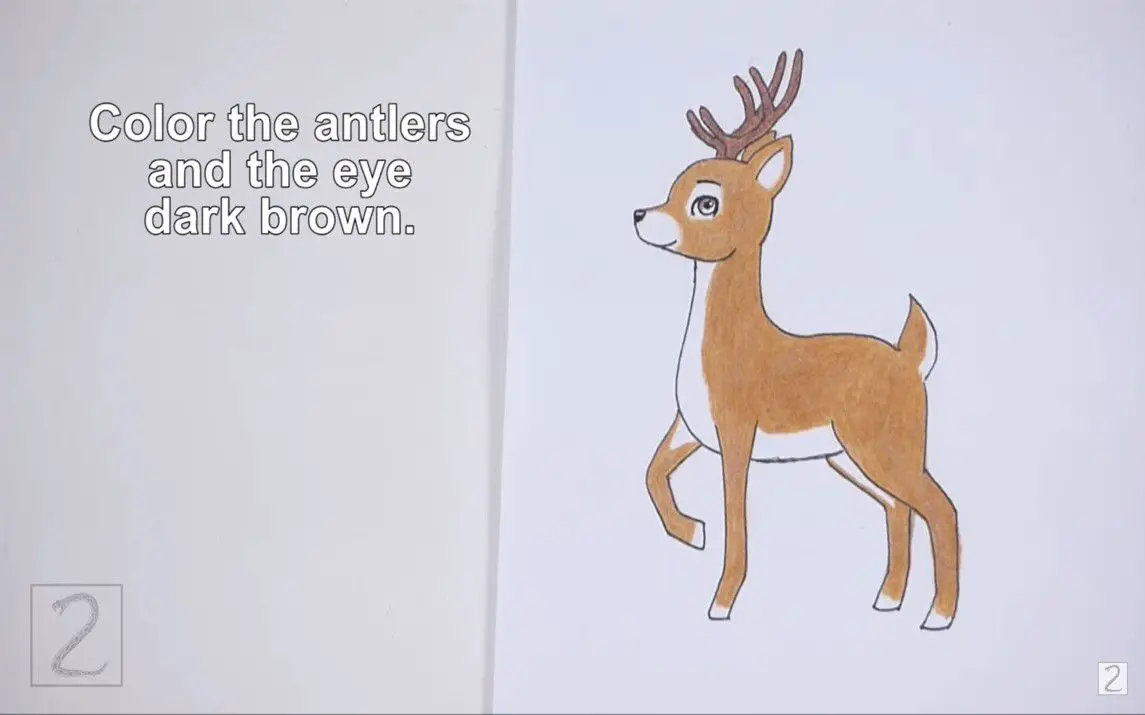 Cartoon Deer Drawing