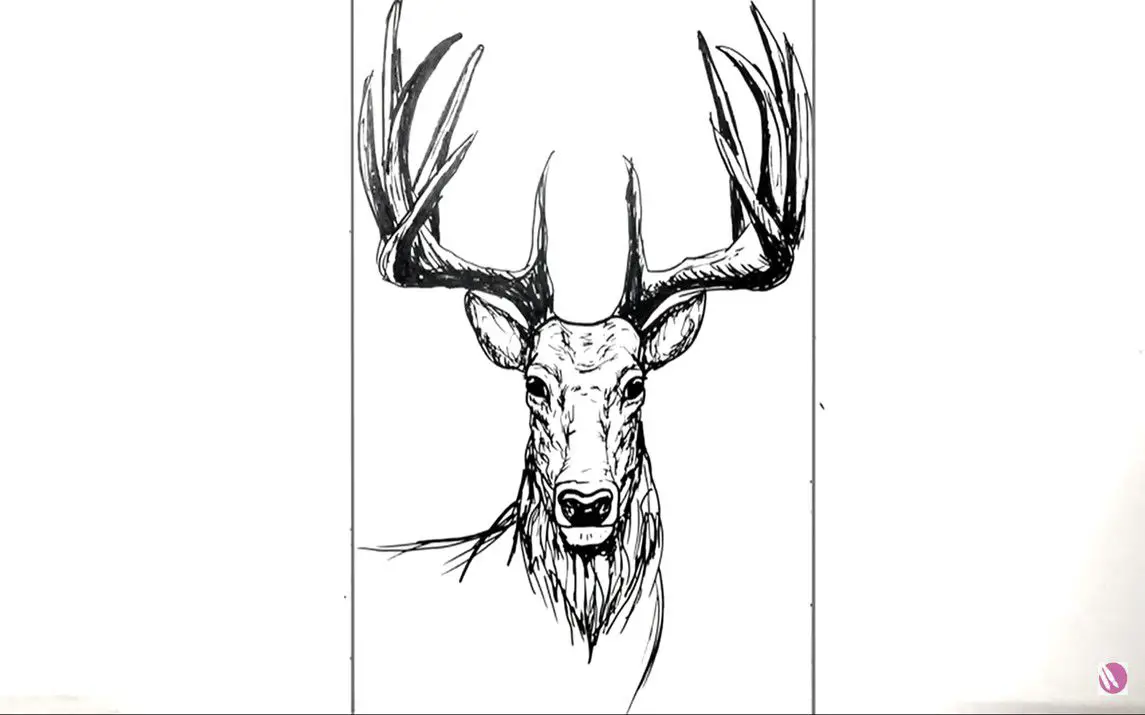 Majestic Sketch of a Deer