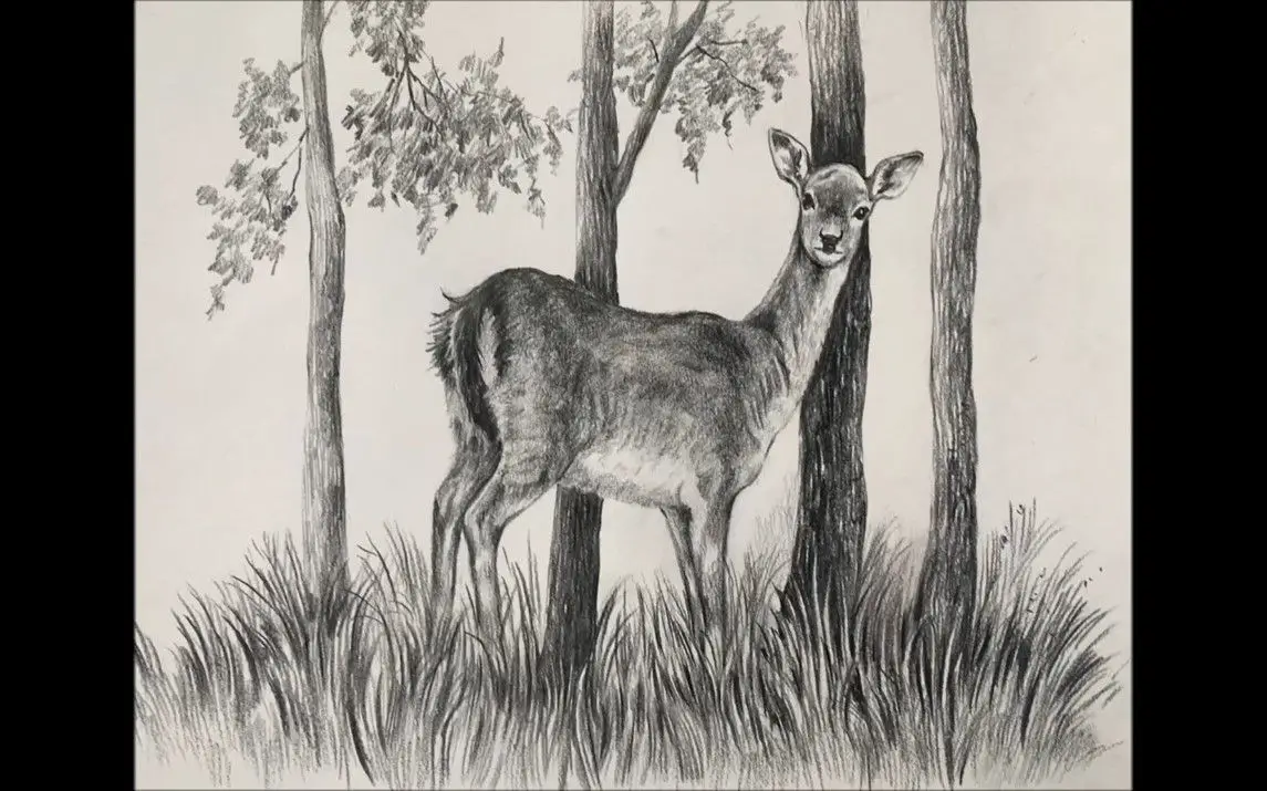 Realistic Drawing of a Deer