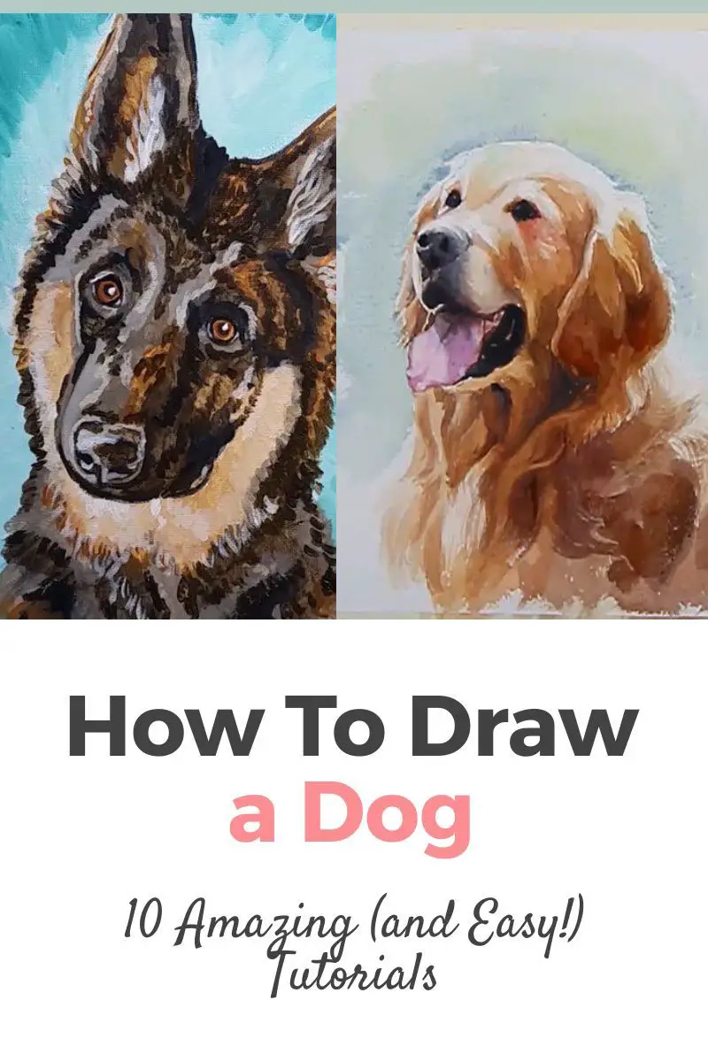 How To Draw A Dog: 10 Amazing and Easy Tutorials! Thumbnail