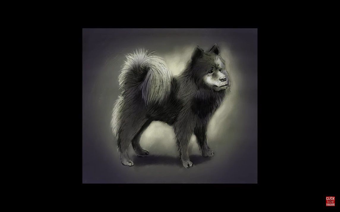 Cute Digital drawing of a Chow Chow Dog