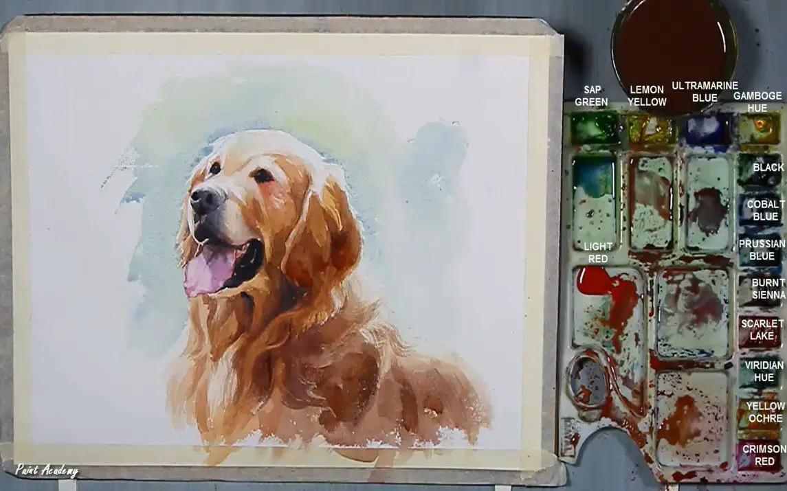 Realistic Watercolor painting of a Dog