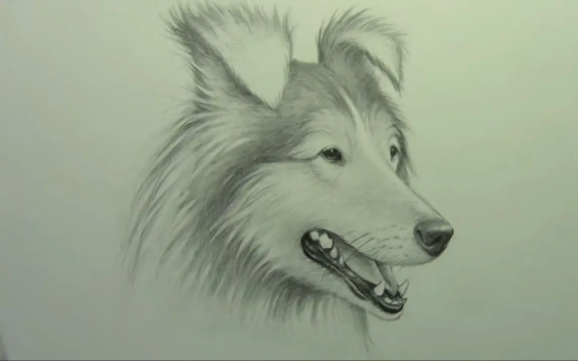 A Mind-blowing Pencil sketch of a Dog