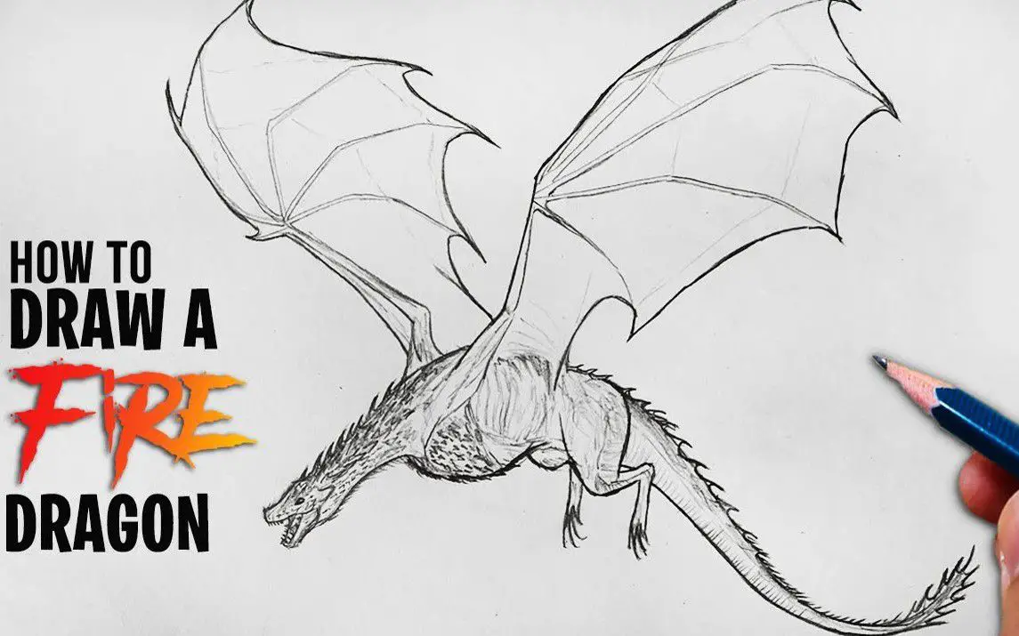 Step by Step Dragon Drawing Tutorial
