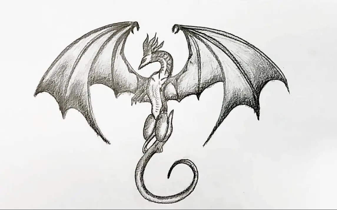 A Simple, yet Graceful Sketch a Dragon