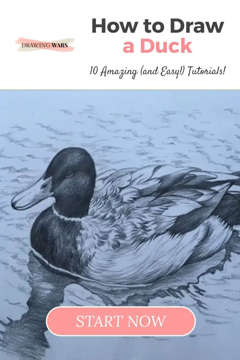How To Draw A Duck: 10 Amazing and Easy Tutorials! Thumbnail