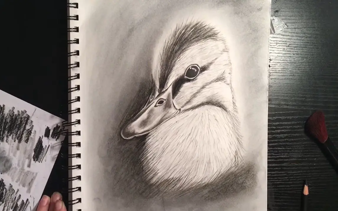 Stunning Sketch of a Duckling