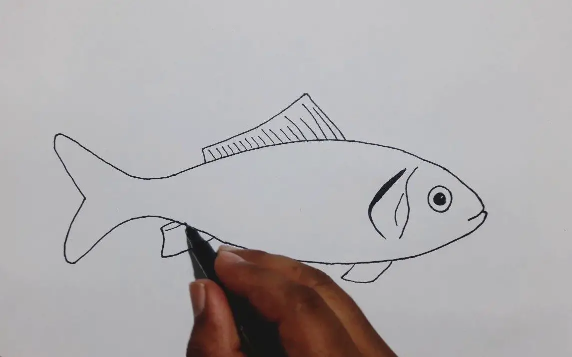 Simple Fish Drawing Tutorial