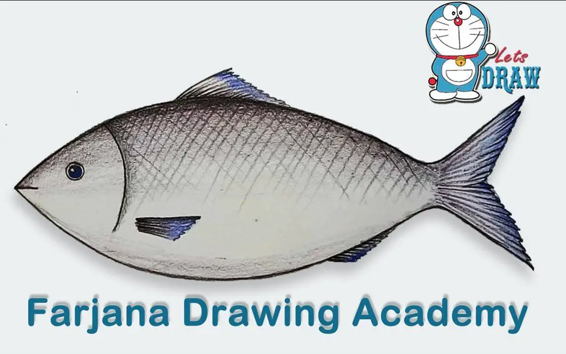 An Easy Approach to Drawing Fishes