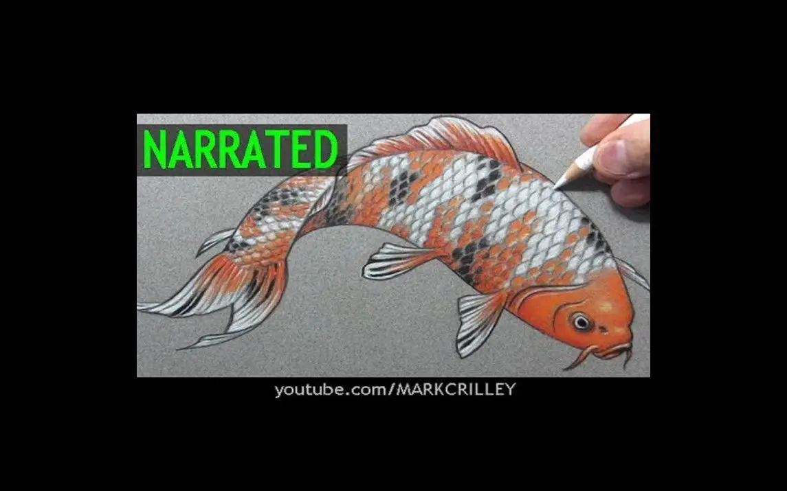 Drawing a Beautiful Koi