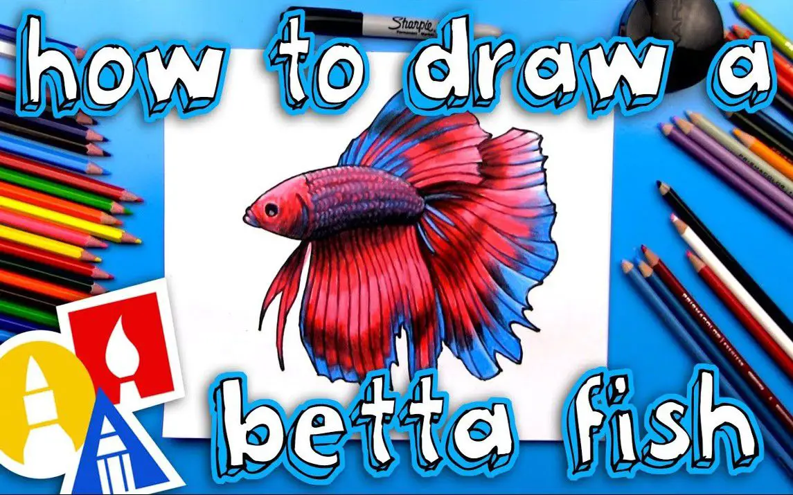 An Easy Way to Draw a Betta Fish