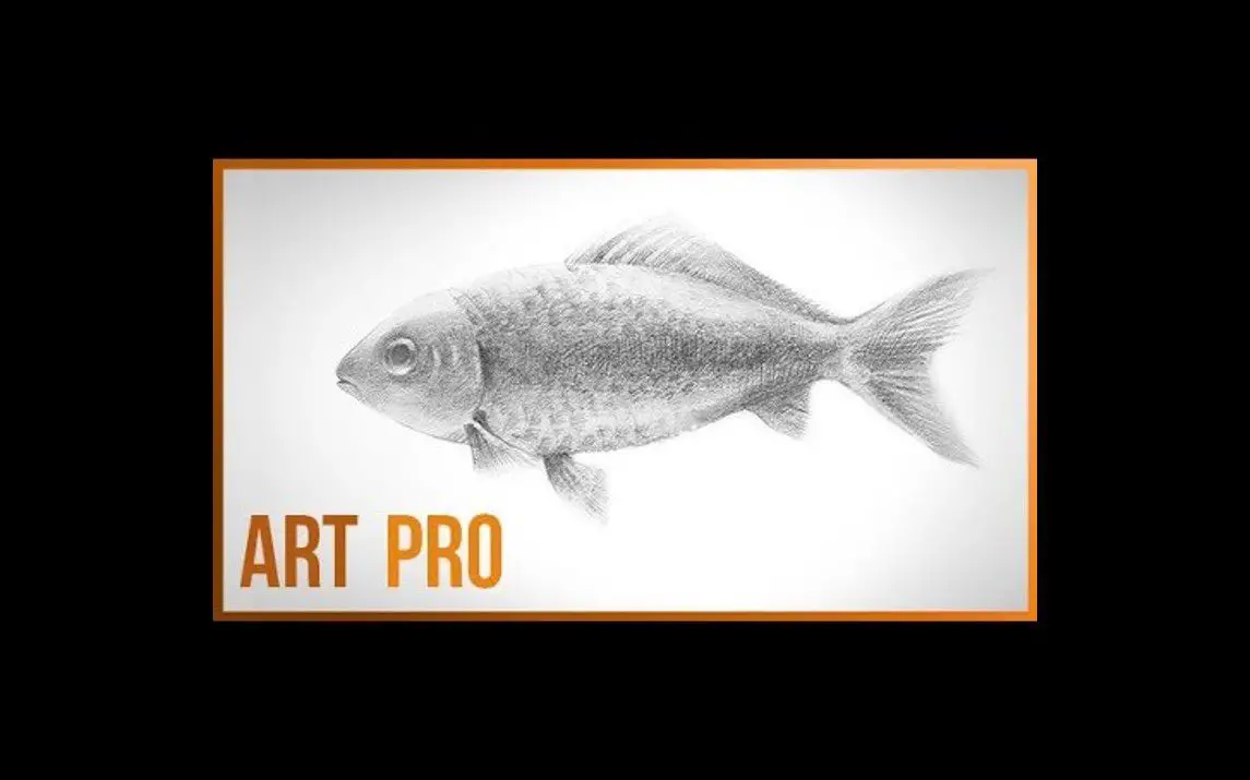 Step by Step Fish Sketching Tutorial